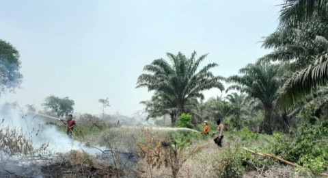 177 Hotspot Kepung Jambi, Asap Menebal, Ribuan Warga Terserang ISPA